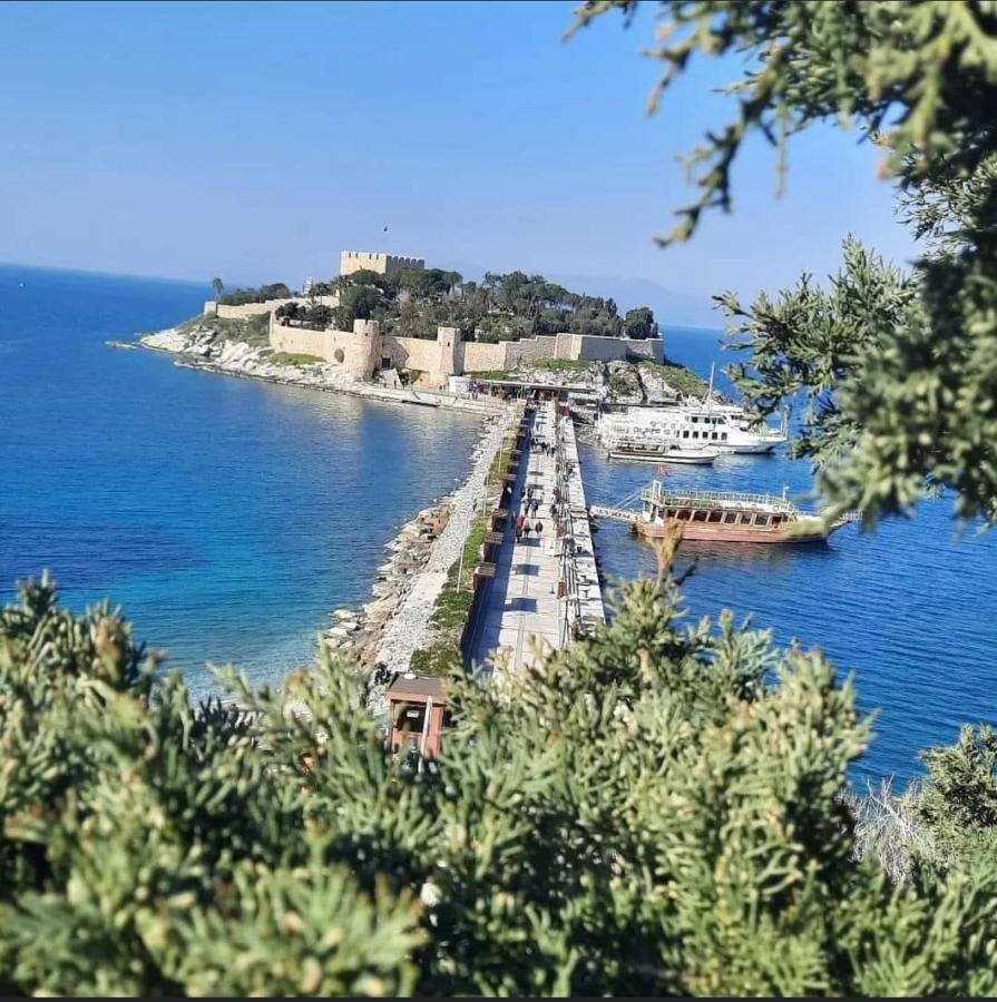 Villa Yilmaz Dream Holiday Kuşadası Ngoại thất bức ảnh